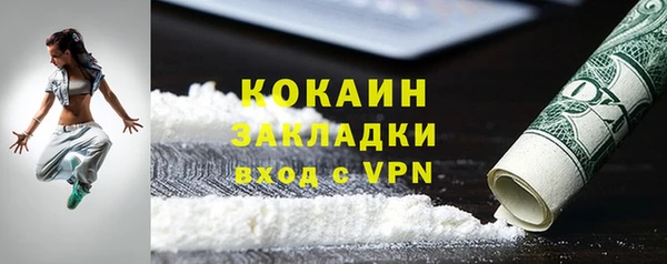 сатива Покачи
