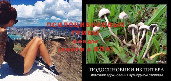 бошки Приозерск