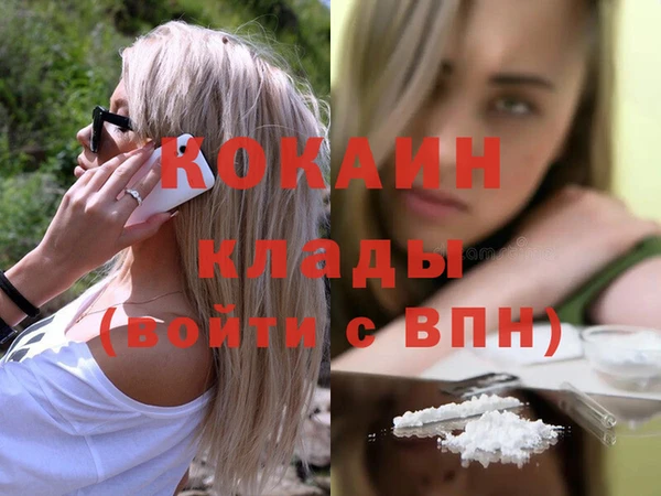 гашик Аркадак