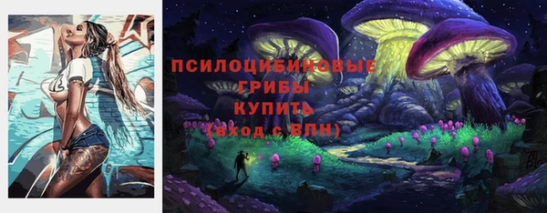 гашик Аркадак