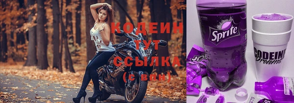 прущий лед Арсеньев