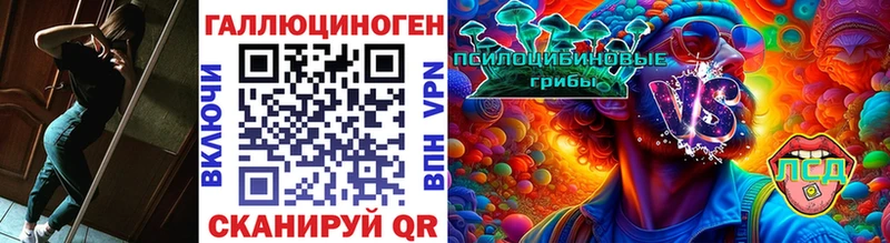 где найти наркотики  Усть-Илимск  Галлюциногенные грибы мухоморы 